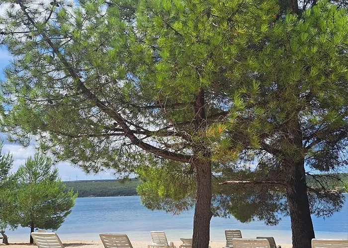 Romantic 3 Bedroom 150m From The & Free Parking Spot Krusevo (Zadar)